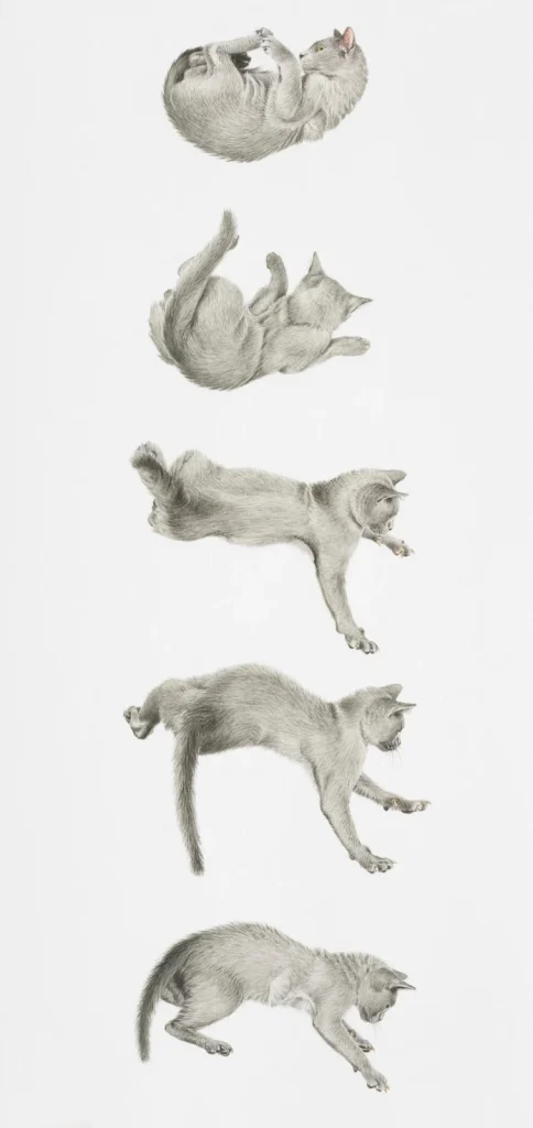 4842836b9eac6eec919cf80f3fc06291