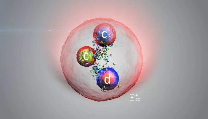 new particle discovered at the large hadron collider