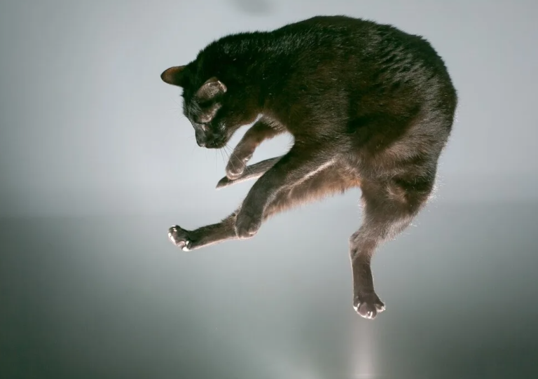 screenshot 2026 03 12 211046