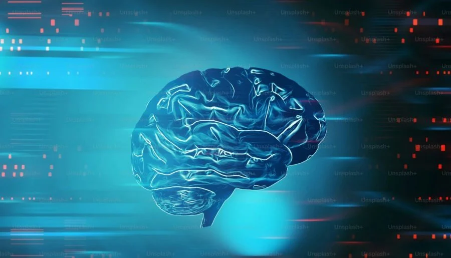 study reveals hidden memory system in the human brain