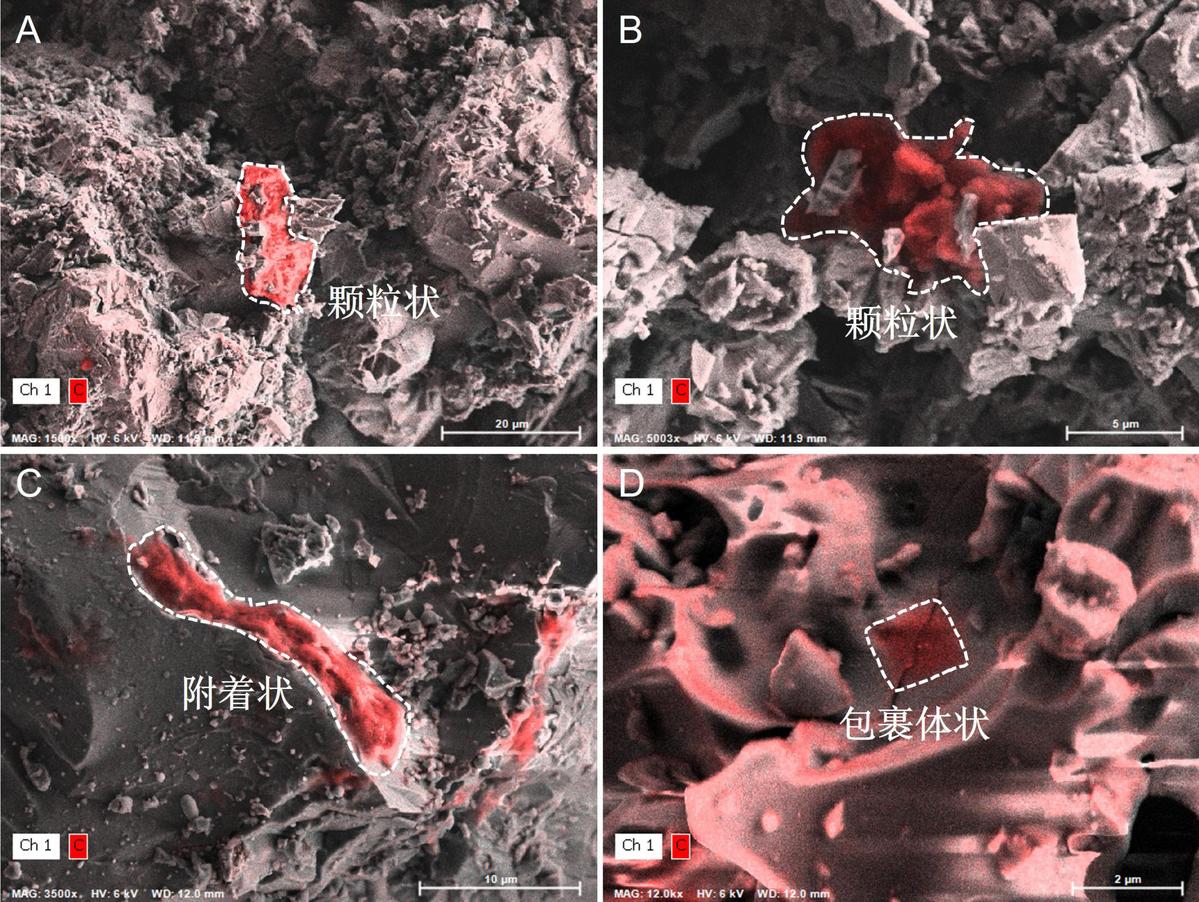 lunar soil reveals evidence of organic matter