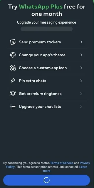 meta tests new add on subscription package for whatsapp plus